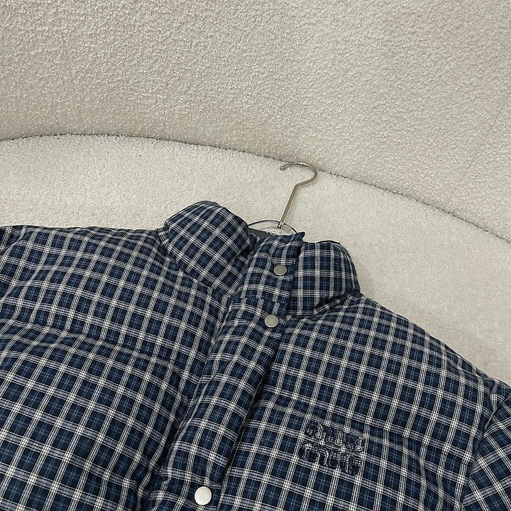 10089.jpg