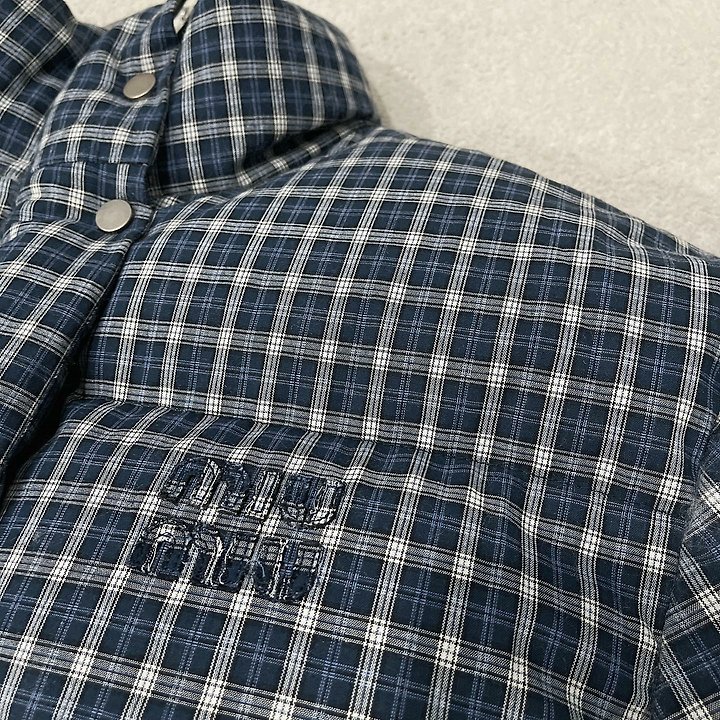 10093.jpg