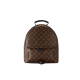 LOUIS VUITTON루이비통 팜스프링스 백팩 MM M41561