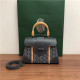 GOYARD 고야드 사이공백  미니 21CM G0091-4