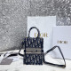 DIOR 디올 미니 북 토트백 D35010