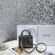 DIOR 디올 미니 레이디백 M1004 